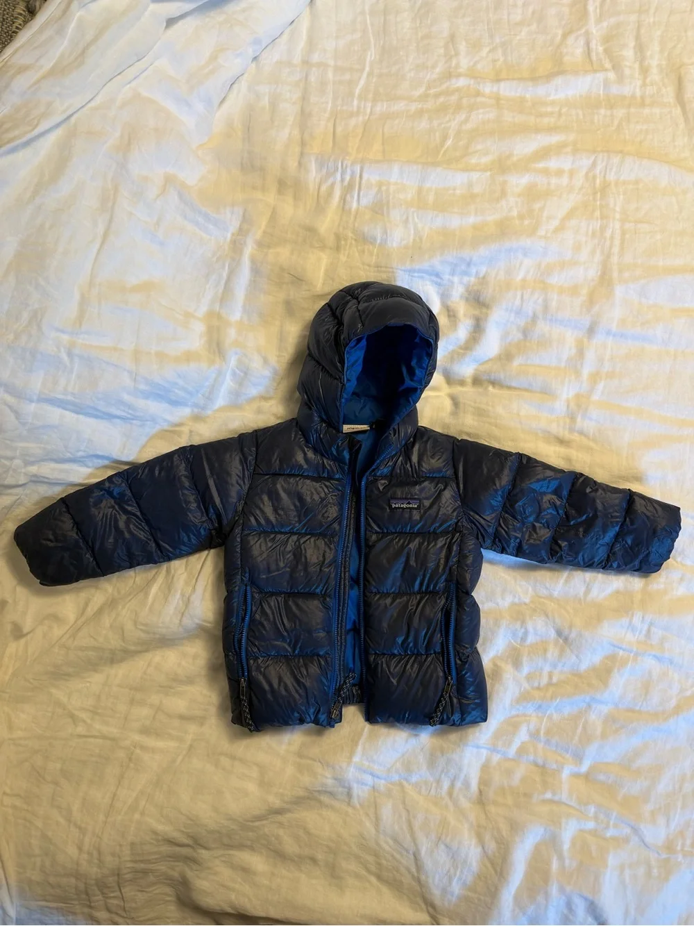 Patagonia Baby Hi-Loft Down Sweater Hoody